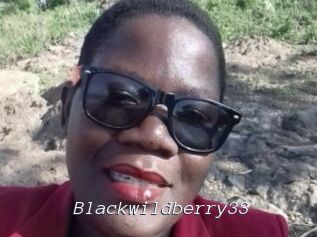 Blackwildberry33