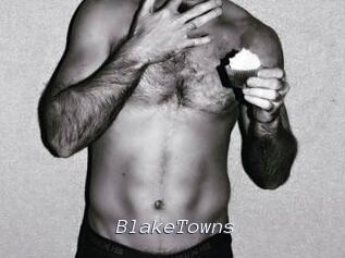 BlakeTowns