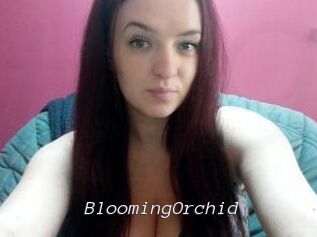 BloomingOrchid