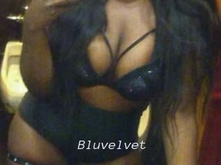 Bluvelvet