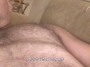 Bobsistheone