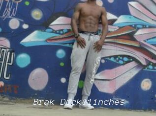 Brak_Dick11inches