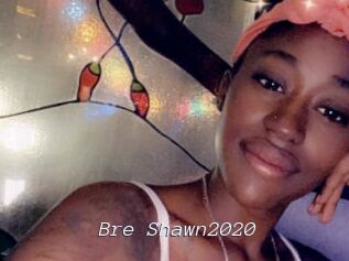 Bre_Shawn2020