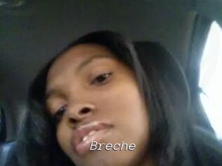 Breche