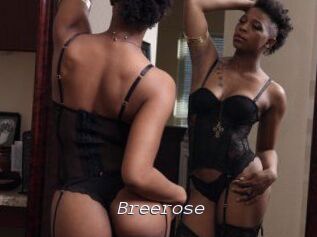 Breerose