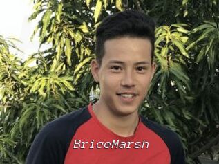 BriceMarsh