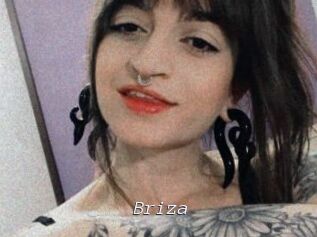 Briza