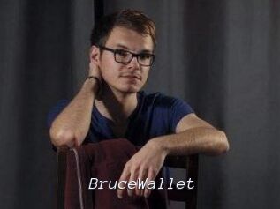 BruceWallet