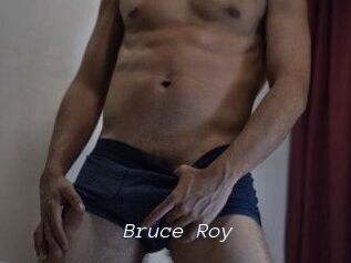 Bruce_Roy