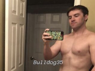 Bulldog35