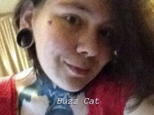 Buzz_Cat
