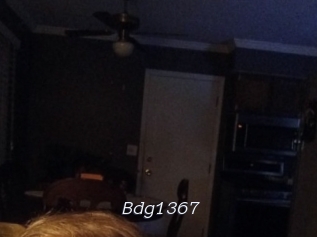 bdg1367 Tel 69 Salopes
