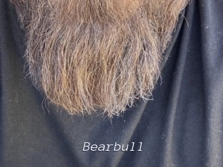 bearbull Tel 69 Salopes