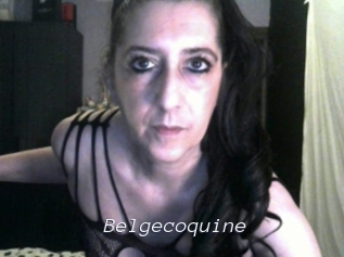 Belgecoquine