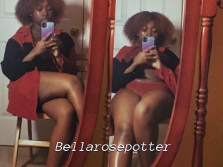Bellarosepotter