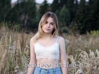 Berniecelittleb
