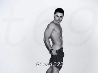 Bica1223