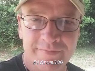 Bidrum209