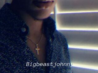 Bigbeastjohnny