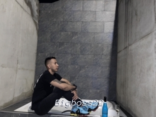 Bigboss22