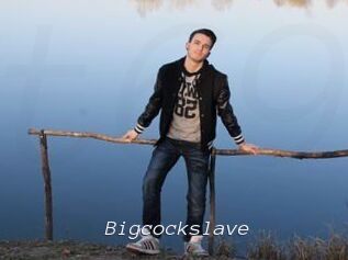 Bigcockslave