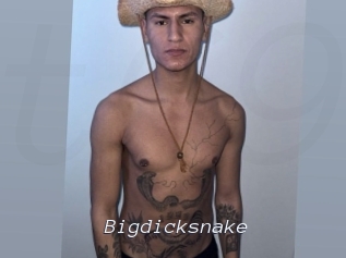 bigdicksnake Tel 69 Salopes