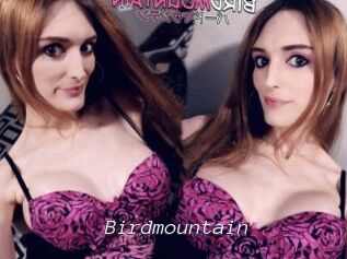 Birdmountain