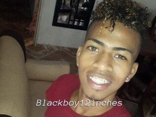 Blackboy12inches