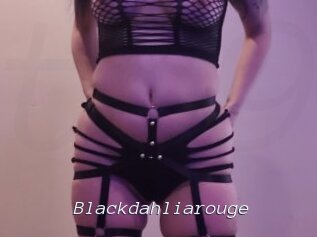 Blackdahliarouge