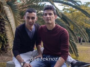 Bleicknort