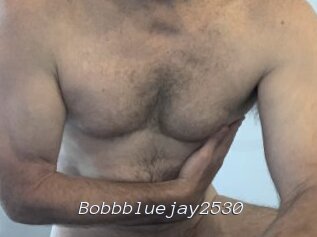 Bobbbluejay2530