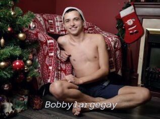 Bobbylargegay