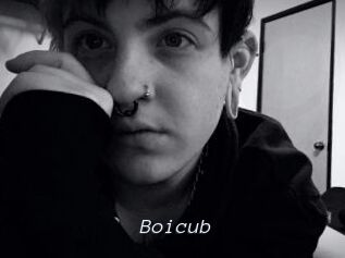 Boicub