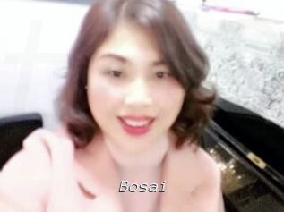 Bosai