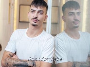 brandontate Tel 69 Salopes