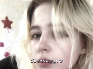 Breeboggus