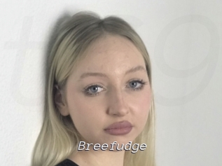 Breefudge