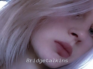 Bridgetalkins
