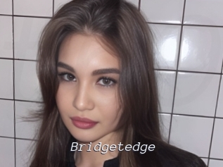 bridgetedge Tel 69 Salopes