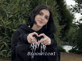 Broosnica1