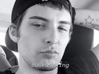 Budkushking