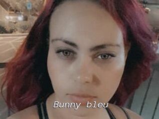 Bunny_bleu