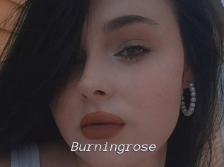 Burningrose