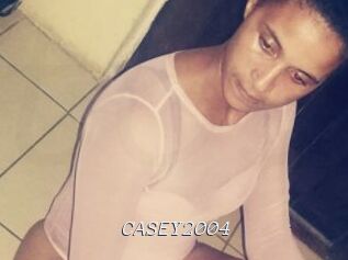 CASEY2004