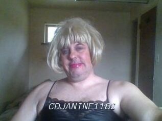 CDJANINE1182