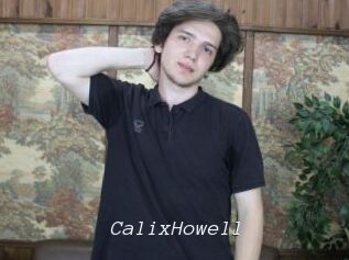 CalixHowell Tel 69 Salopes