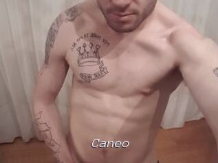 Caneo