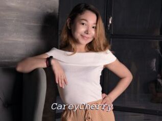 CareyCherry Tel 69 Salopes