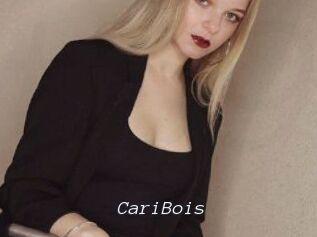 CariBois
