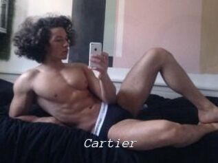 Cartier_ Tel 69 Salopes